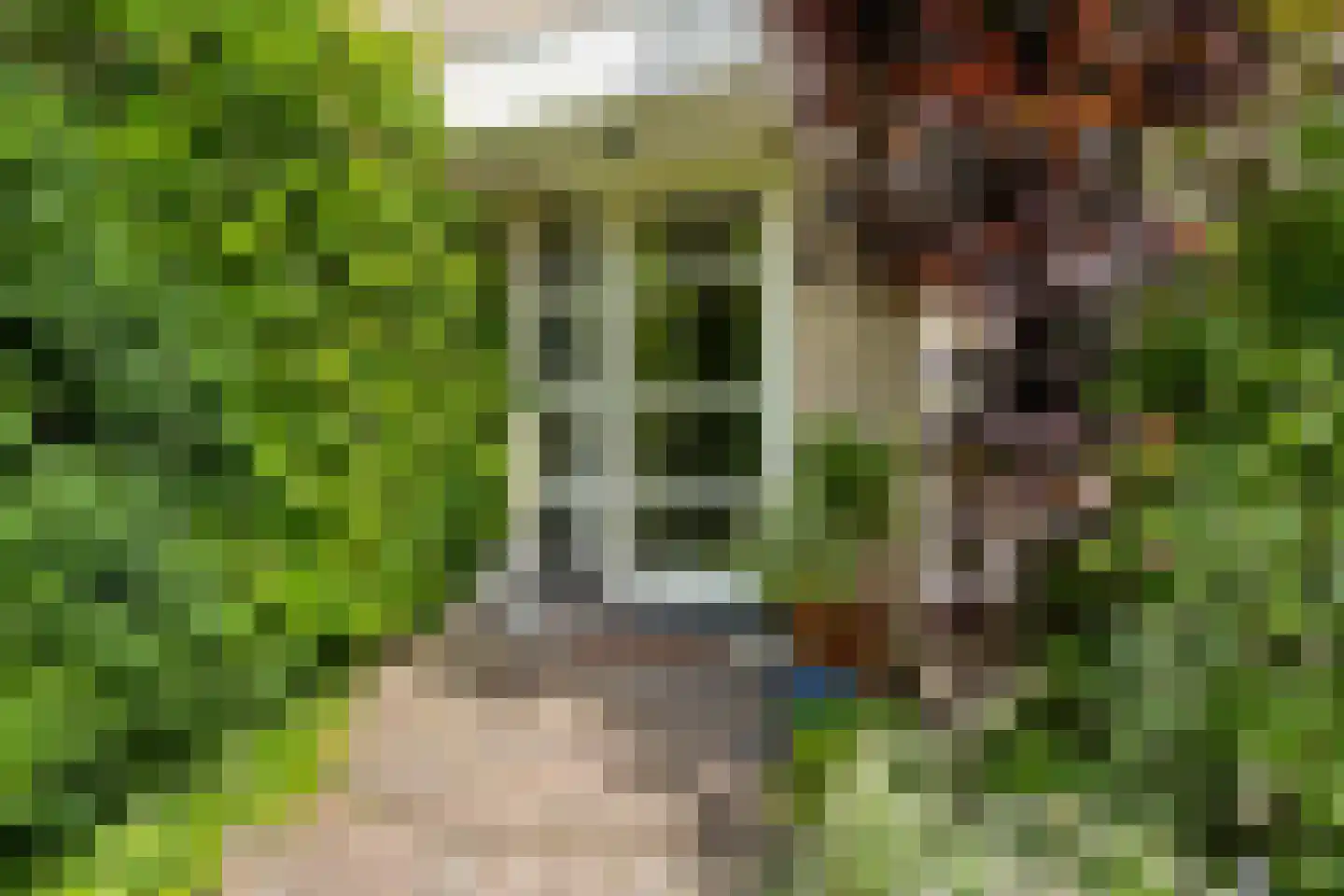 Lupine-oord 11 Houten thumbnail 6