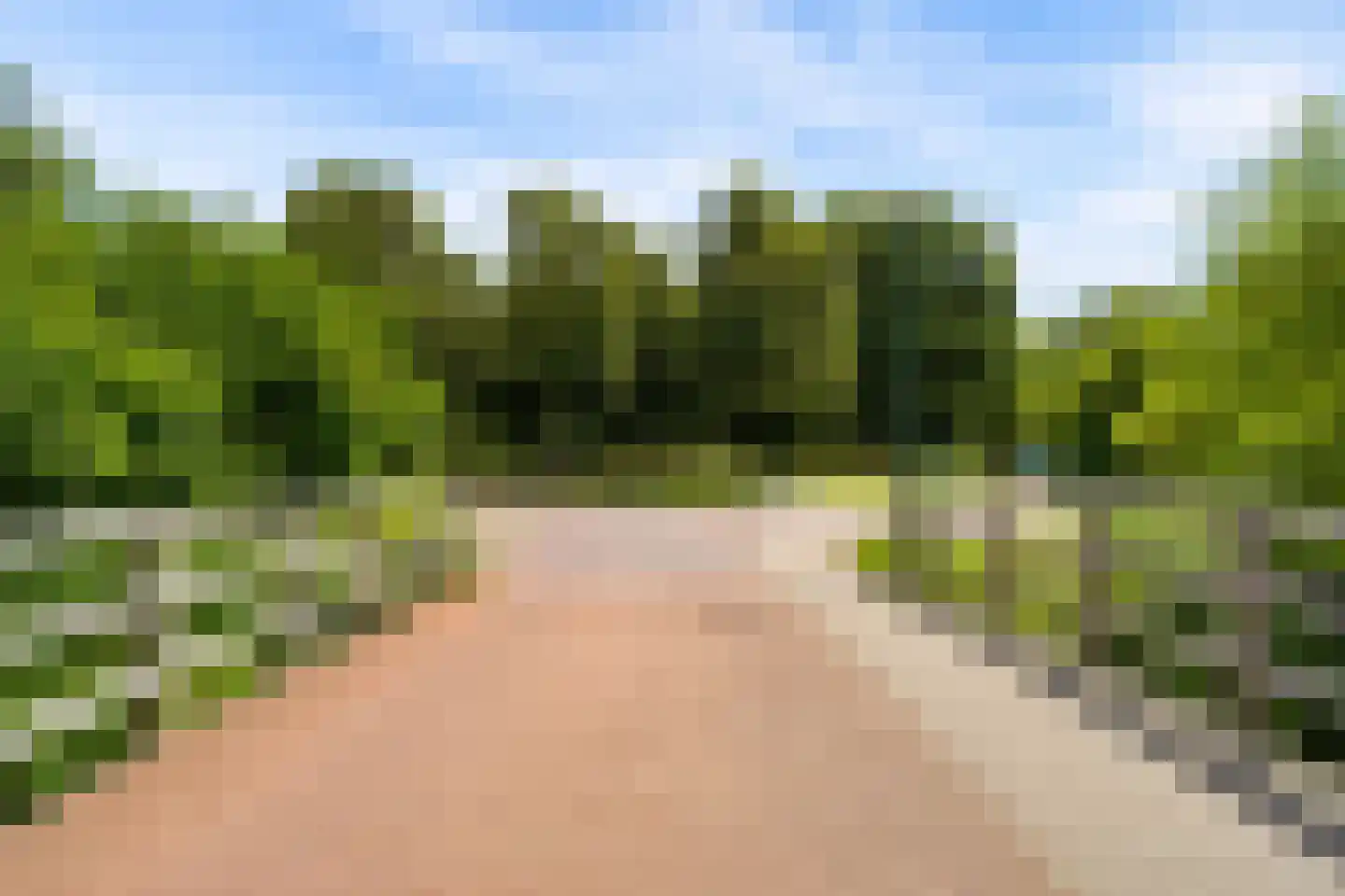 Lupine-oord 11 Houten thumbnail 60