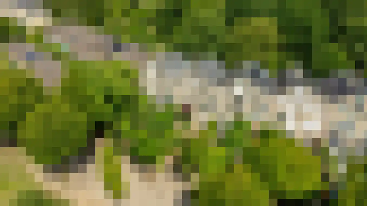 Lupine-oord 11 Houten thumbnail 61