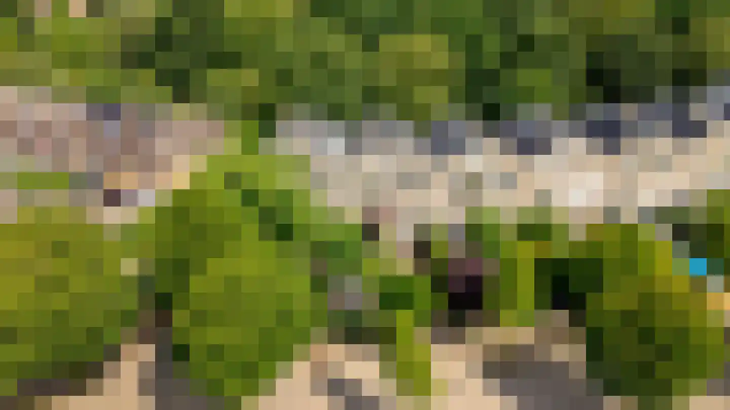 Lupine-oord 11 Houten thumbnail 62
