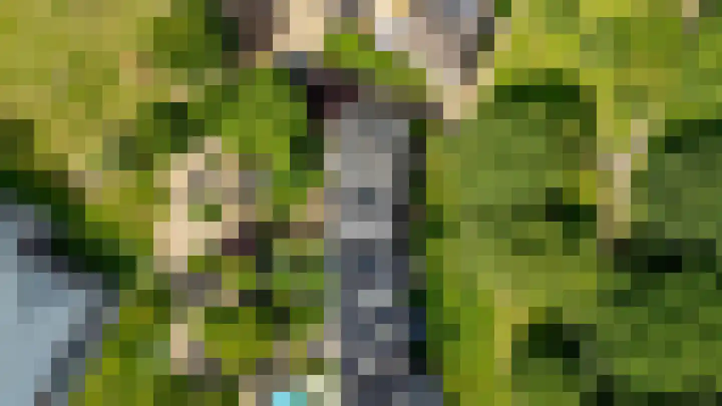 Lupine-oord 11 Houten thumbnail 63