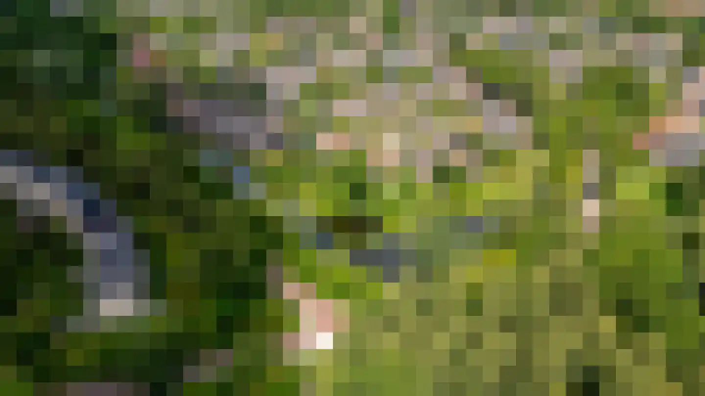 Lupine-oord 11 Houten thumbnail 65