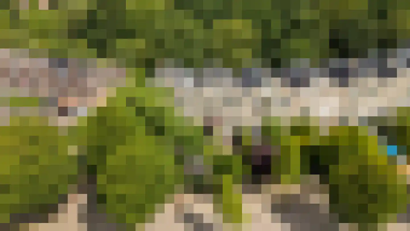 Lupine-oord 11 Houten thumbnail 66