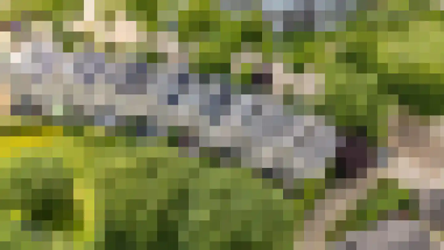 Lupine-oord 11 Houten thumbnail 67