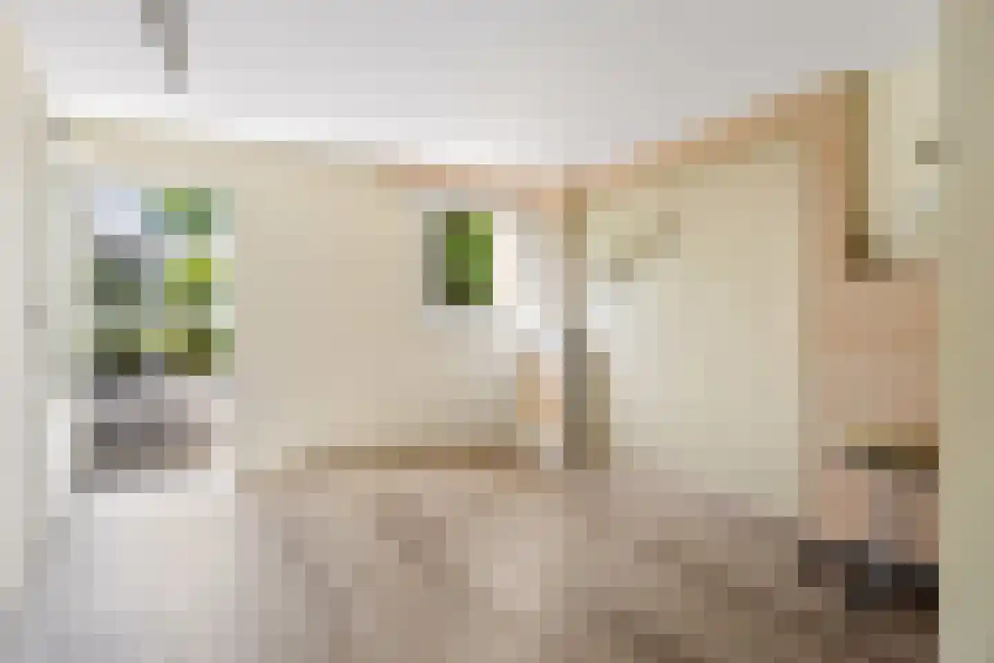 Lupine-oord 11 Houten thumbnail 8