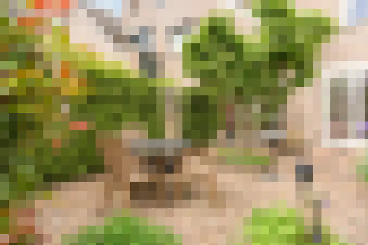 Lupine-oord 21 Houten thumbnail 21