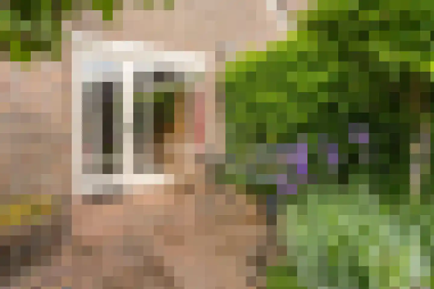 Lupine-oord 21 Houten thumbnail 23