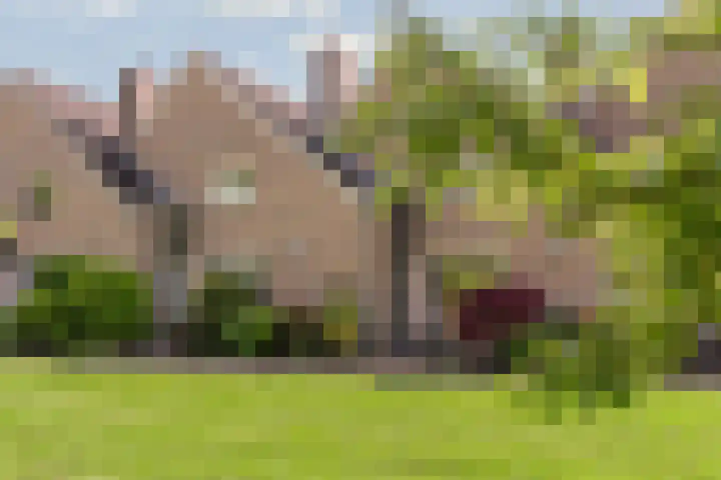 Lupine-oord 21 Houten thumbnail 25