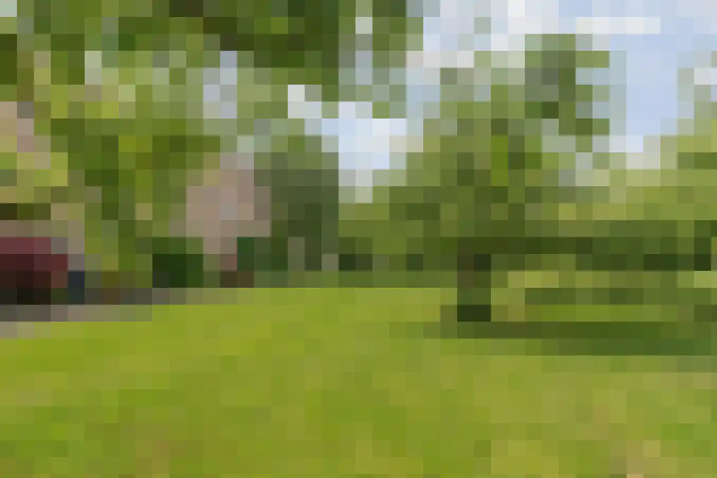 Lupine-oord 21 Houten thumbnail 27