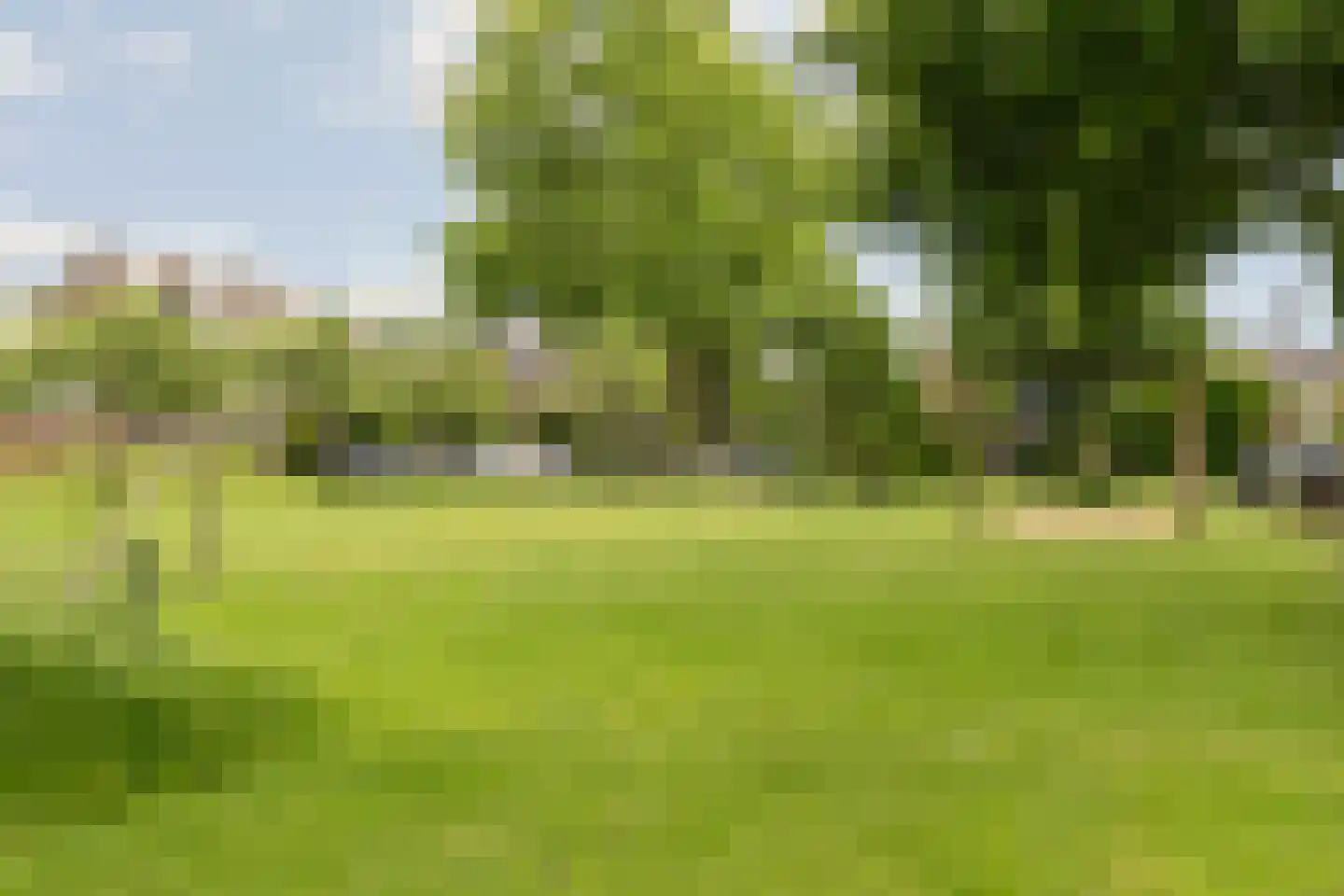 Lupine-oord 21 Houten thumbnail 29