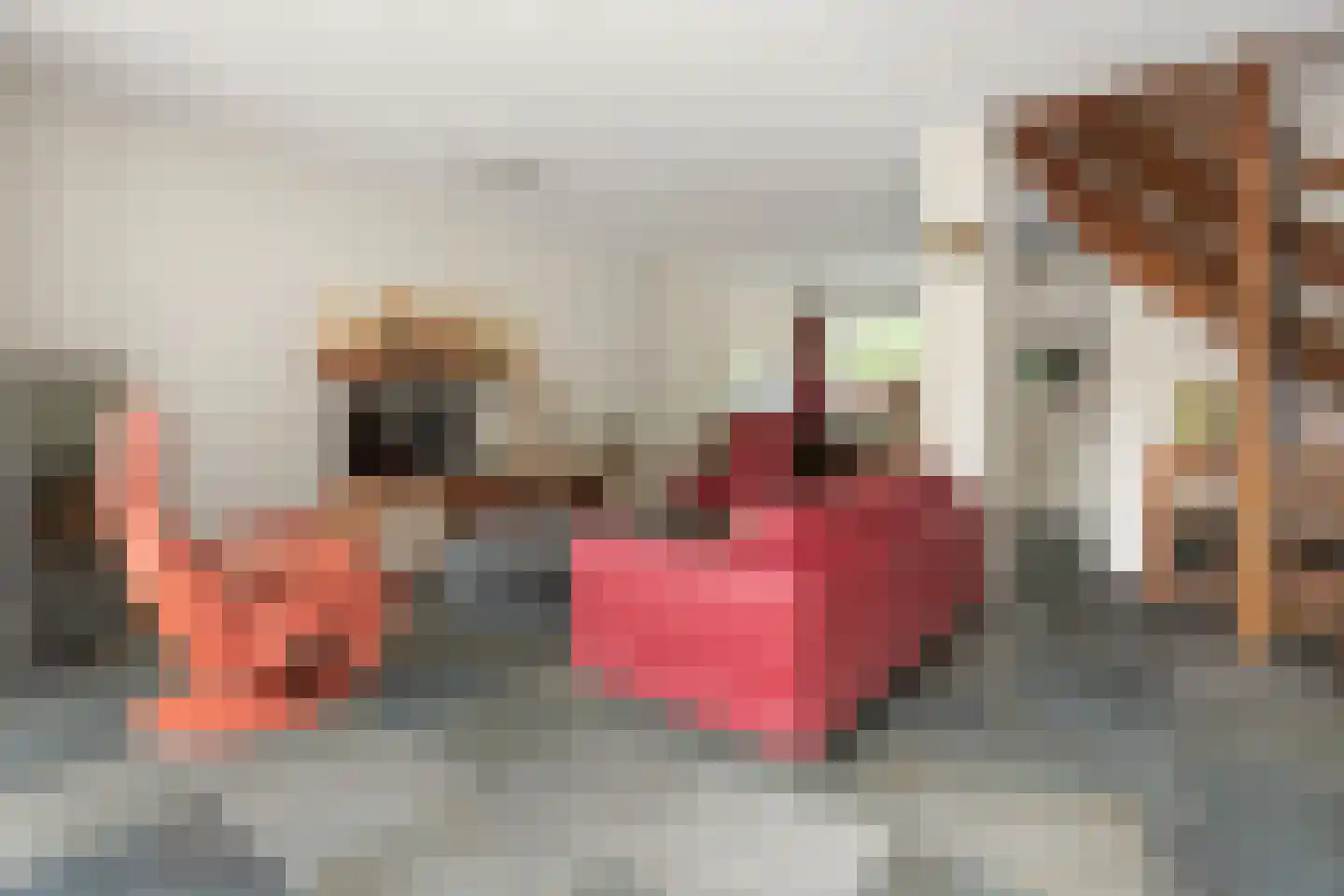 Lupine-oord 21 Houten thumbnail 7