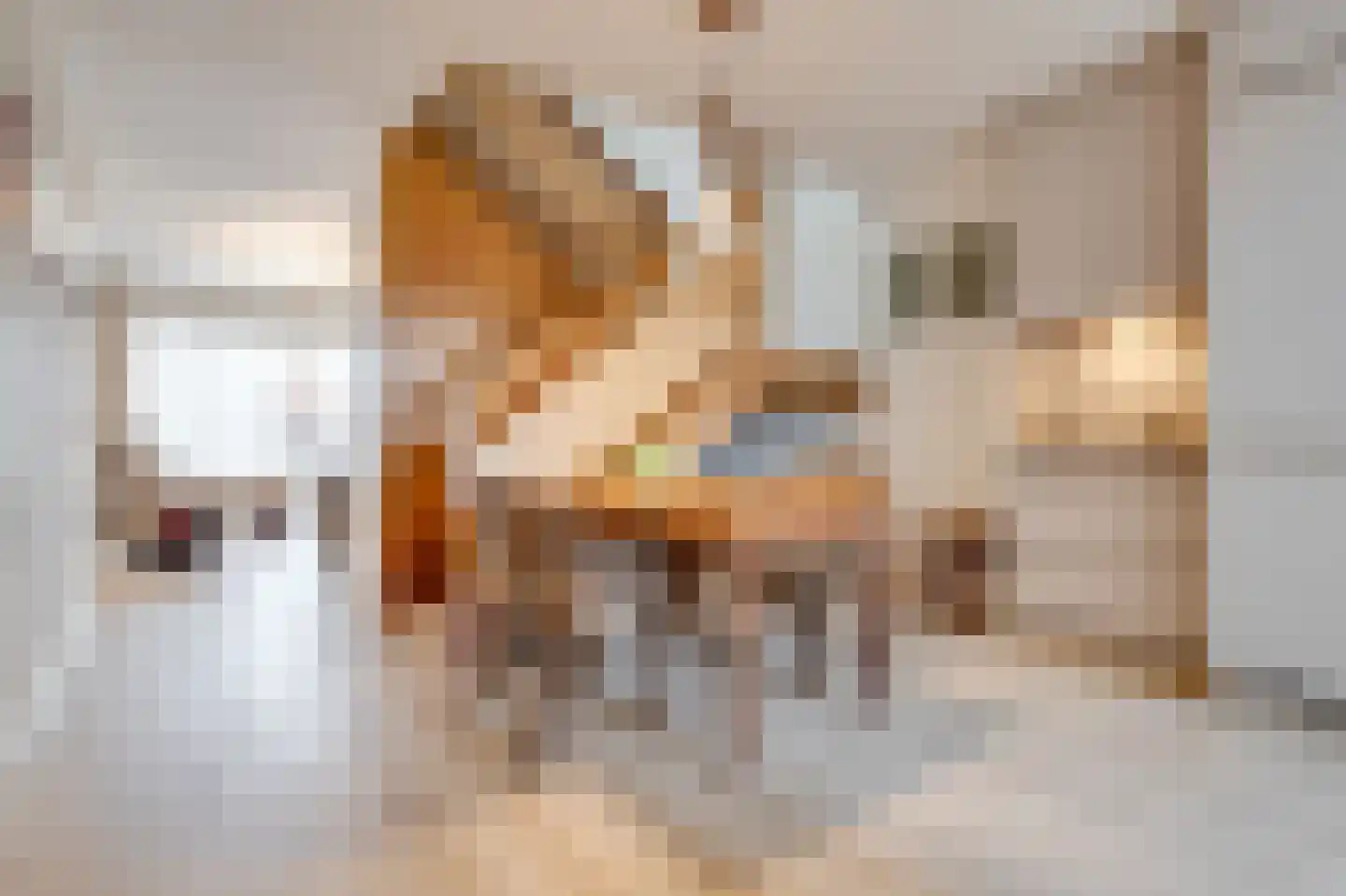Lupinehof 32 Sint Pancras thumbnail 16
