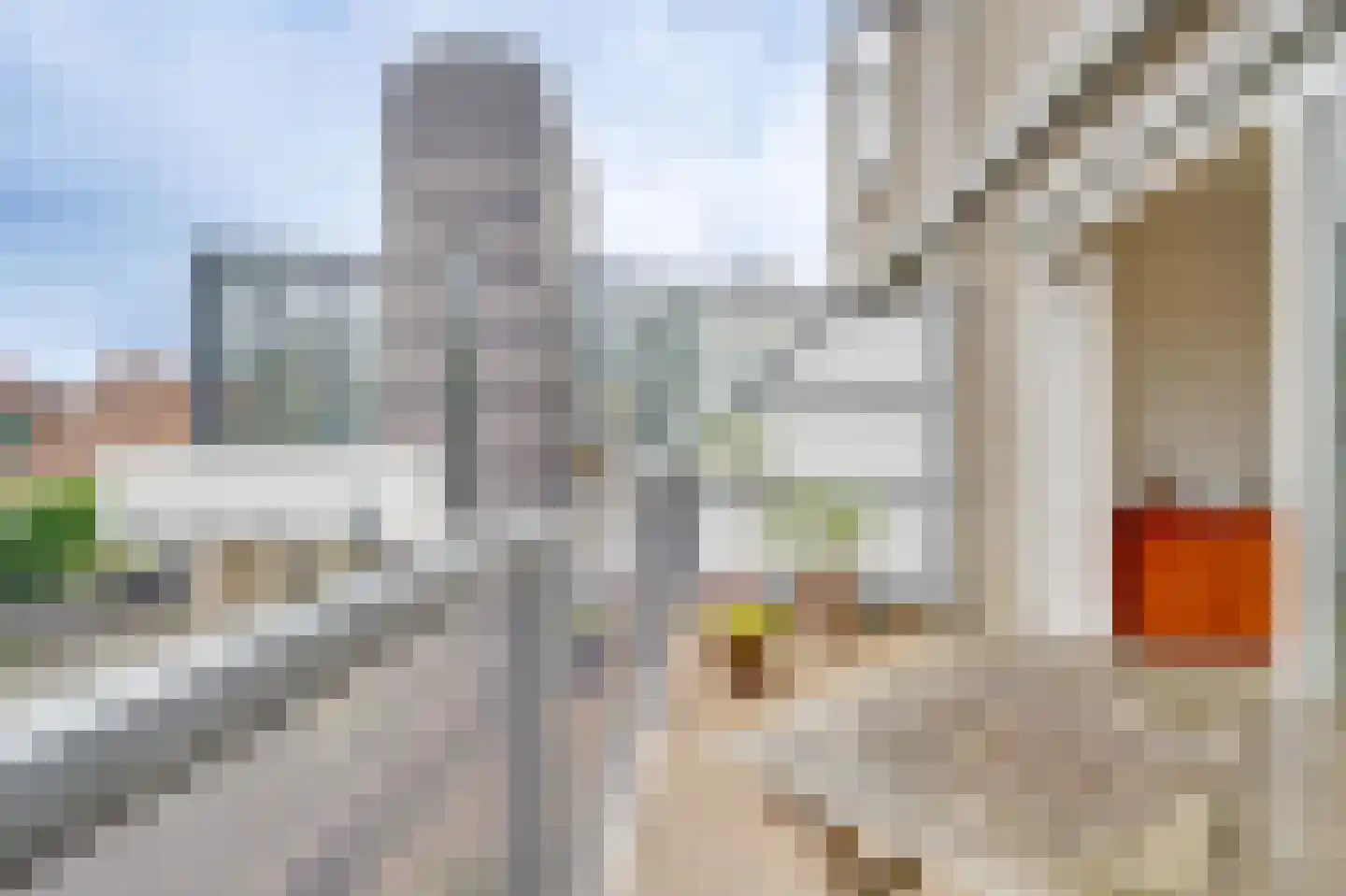 Lupinehof 32 Sint Pancras thumbnail 28