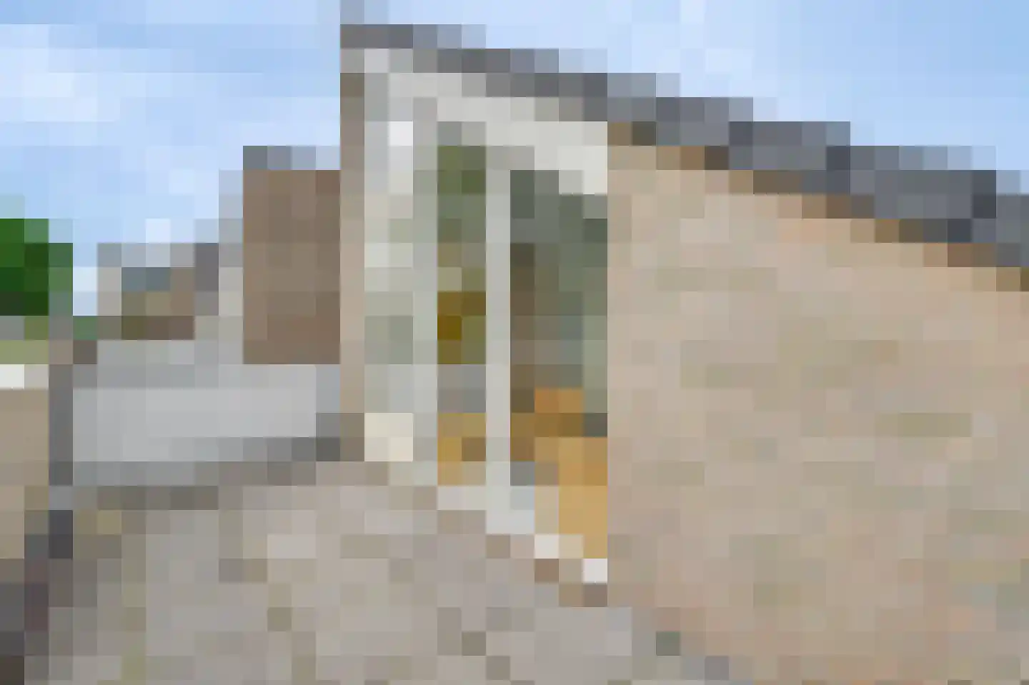 Lupinehof 32 Sint Pancras thumbnail 35