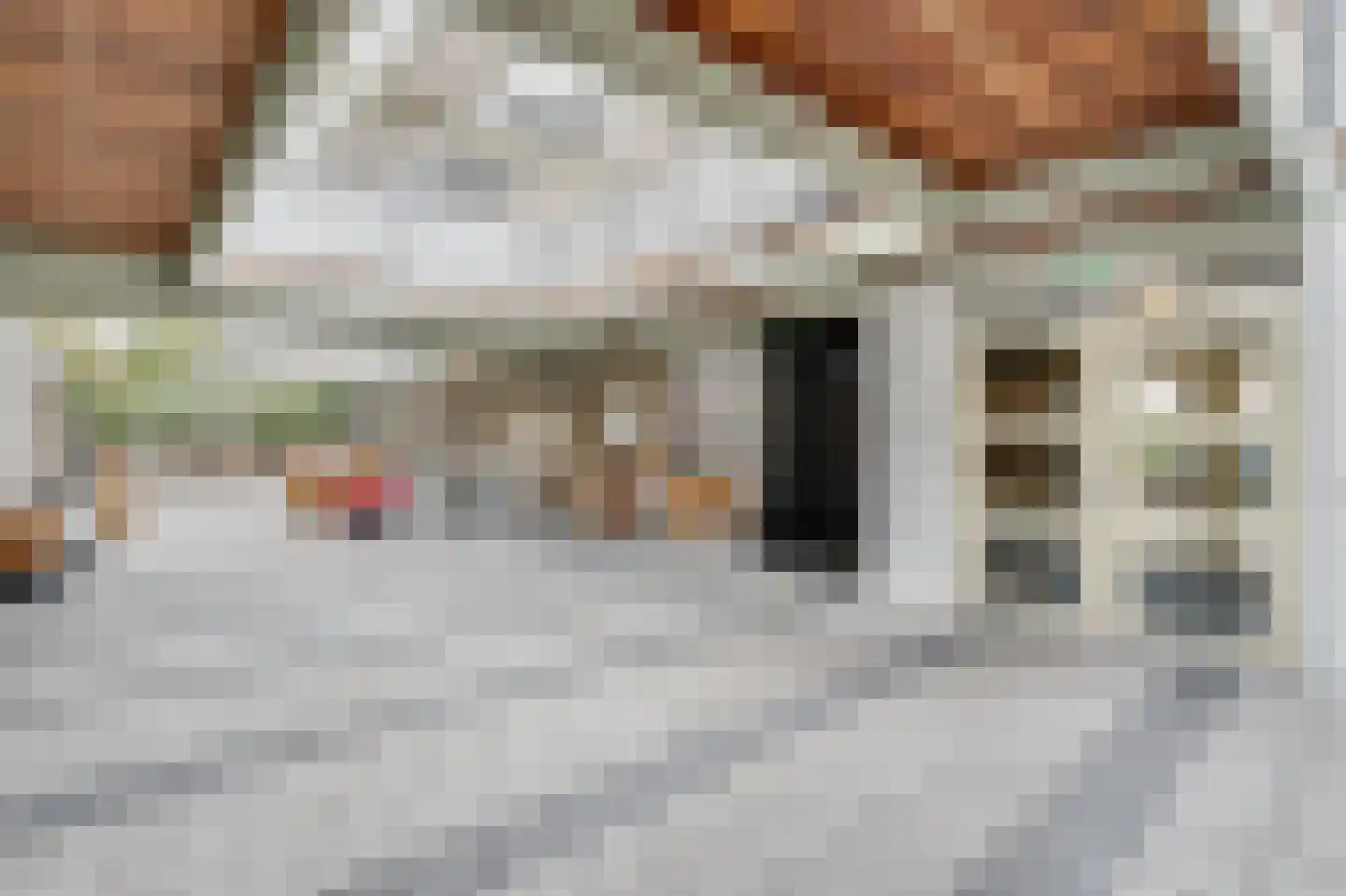 Lupinehof 32 Sint Pancras thumbnail 47
