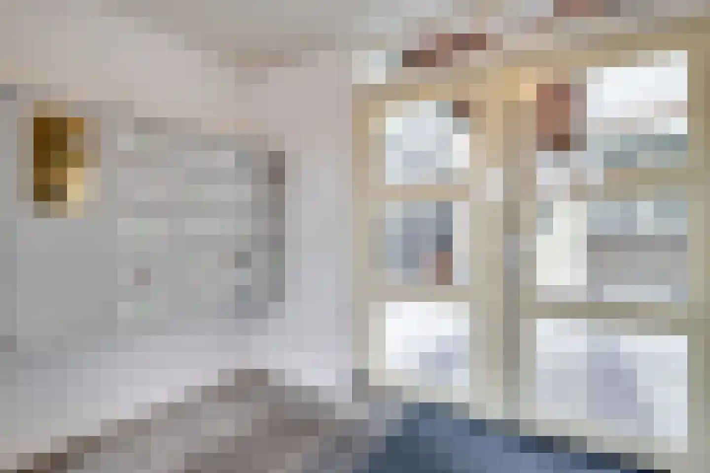 Lupinehof 32 Sint Pancras thumbnail 49