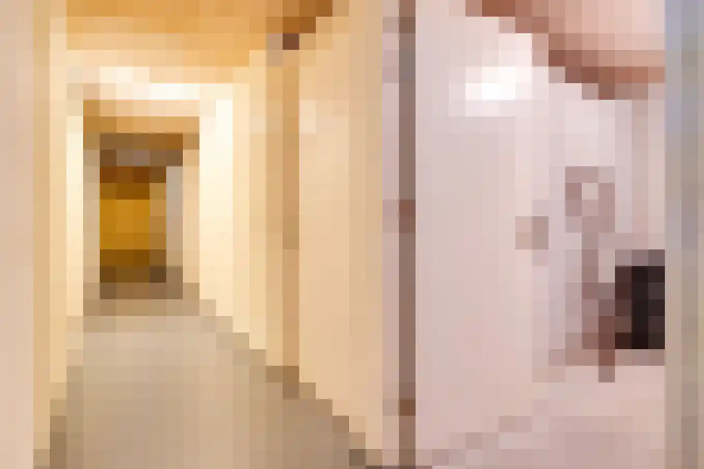 Lupinehof 32 Sint Pancras thumbnail 50