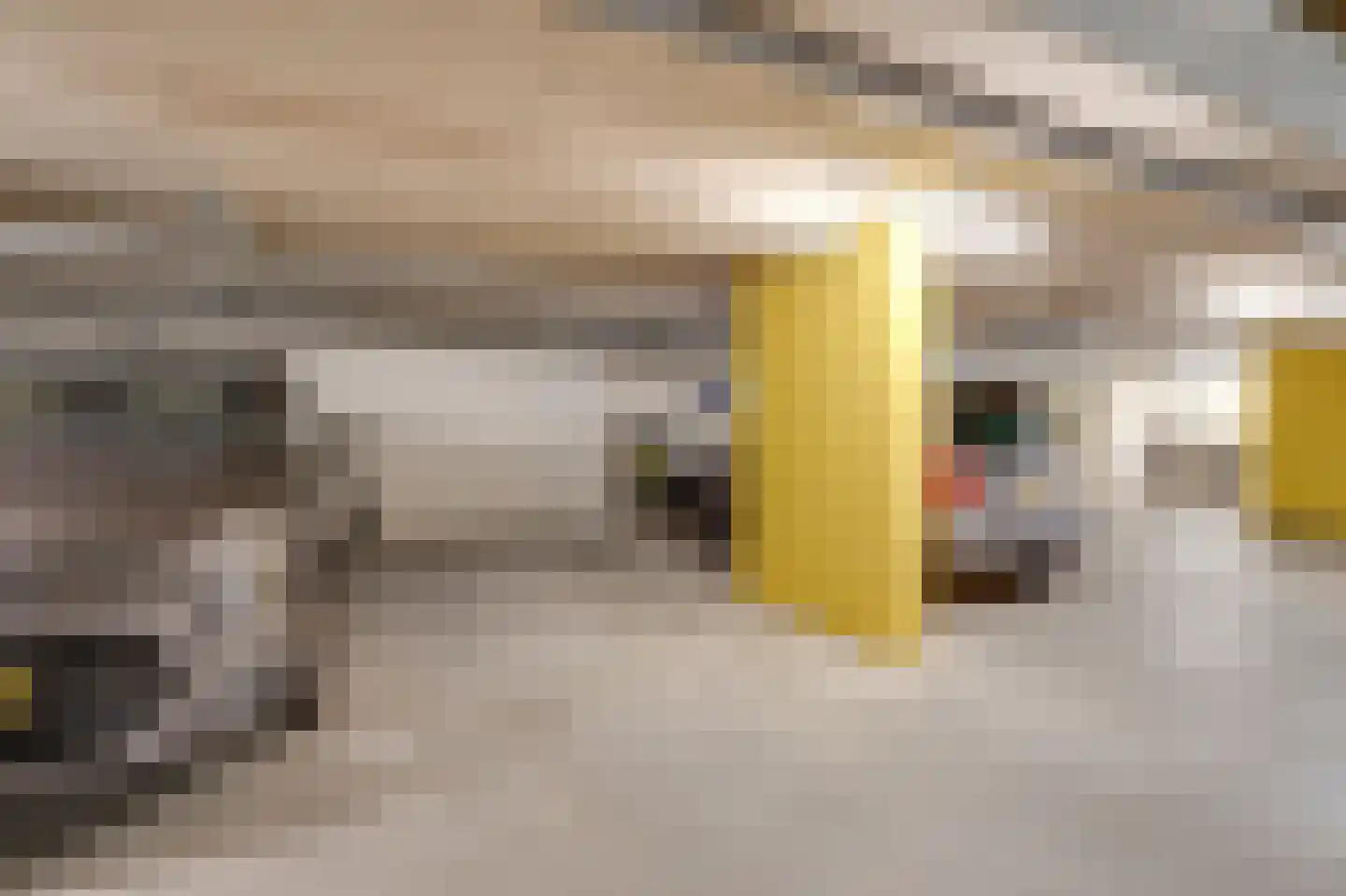 Lupinehof 32 Sint Pancras thumbnail 52