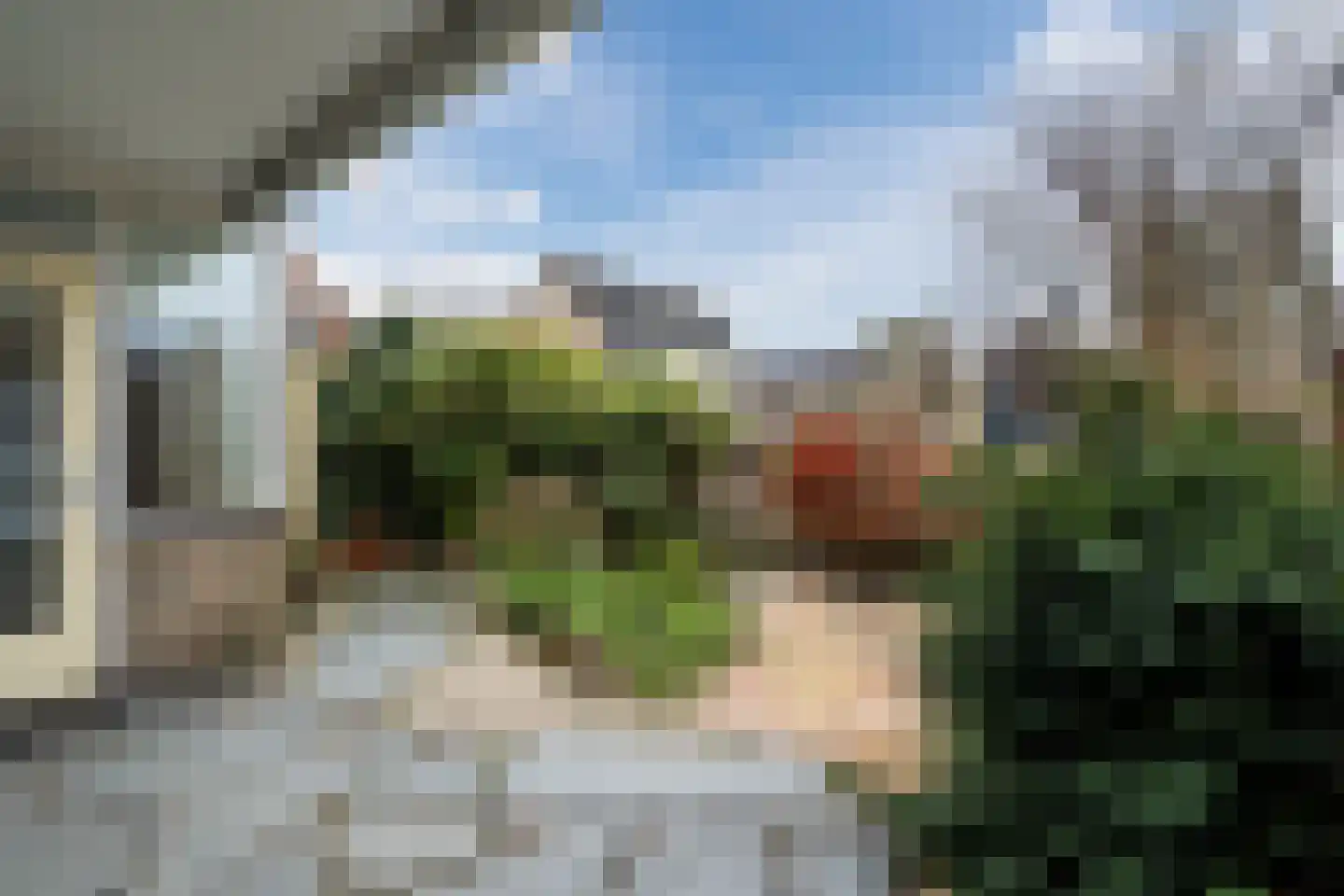 Lupinehof 4 Sint Pancras thumbnail 24