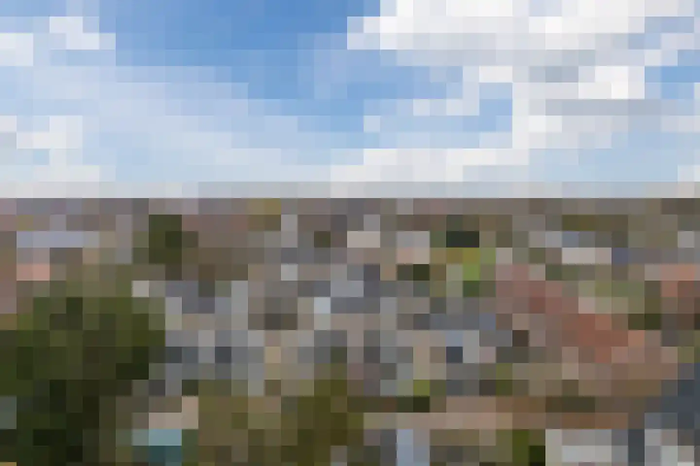 Lupinehof 4 Sint Pancras thumbnail 37