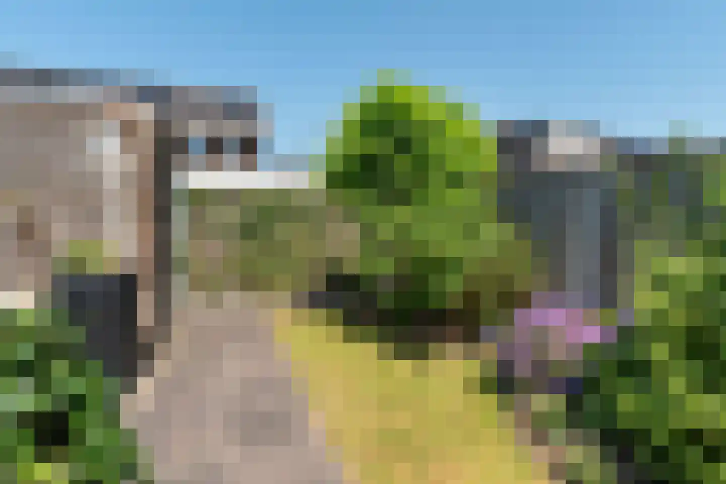 Lupinelaan 29 Nijverdal thumbnail 37