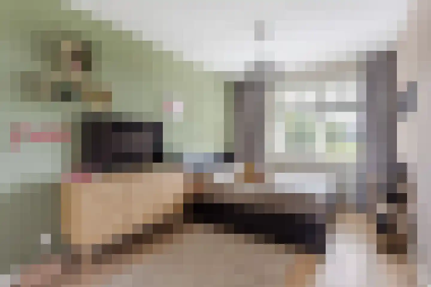 Lupinelaan 65 Nijverdal thumbnail 12