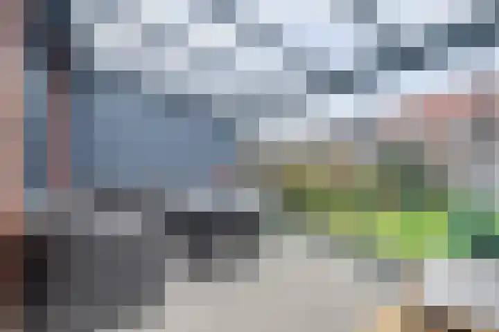 Lupinenstraat 17 b Didam thumbnail 30