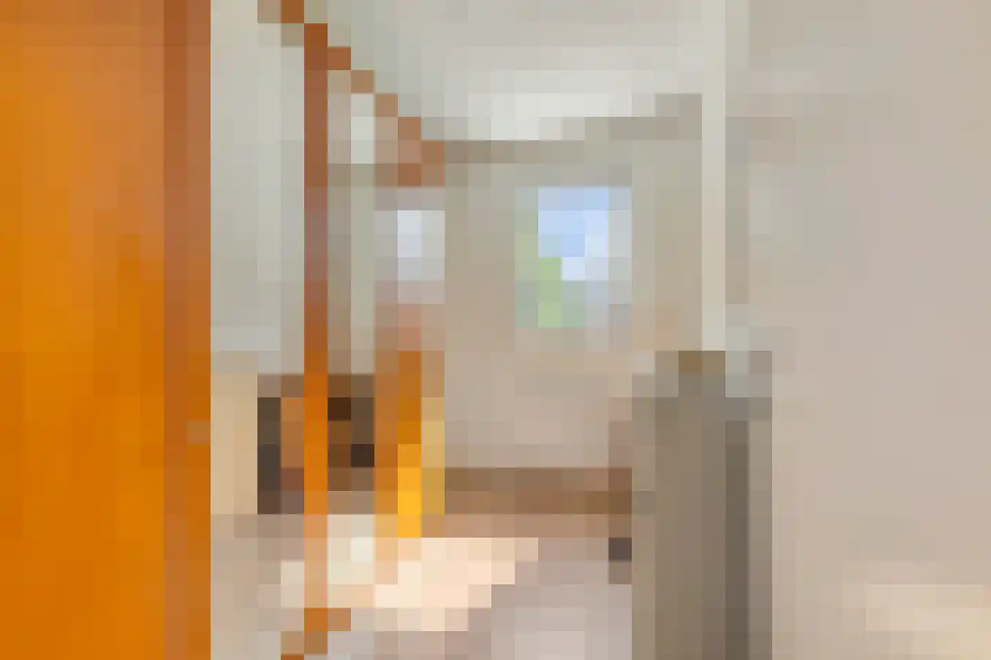 Lupinenstraat 25 Didam thumbnail 20