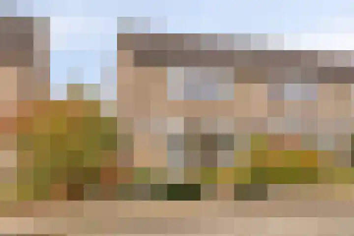 Lupinenstraat 54 Didam thumbnail 4