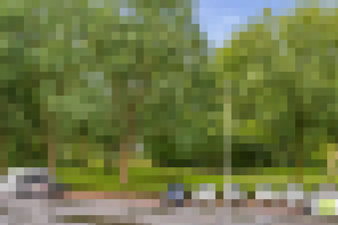 Lupinesingel 106 Alphen aan den Rijn thumbnail 10