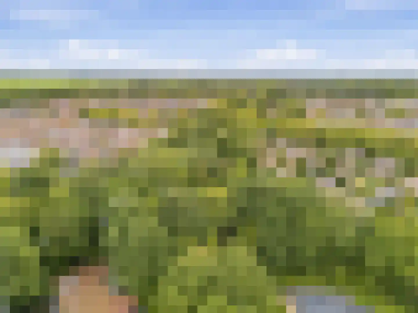 Lupinesingel 106 Alphen aan den Rijn thumbnail 20