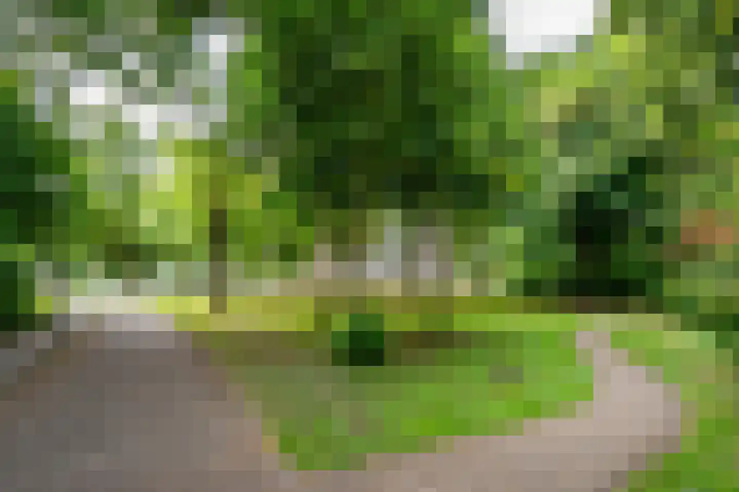 Lupinesingel 108 Alphen aan den Rijn thumbnail 29