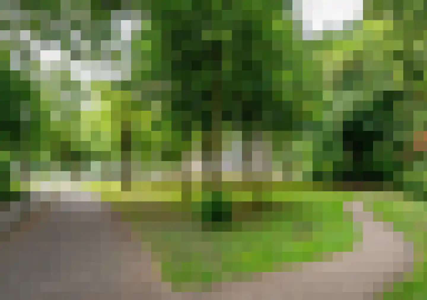 Lupinesingel 136 Alphen aan den Rijn thumbnail 23