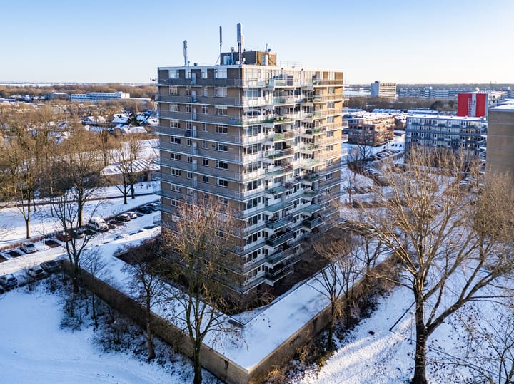 Lupinesingel 146 in Alphen aan den Rijn Foto
