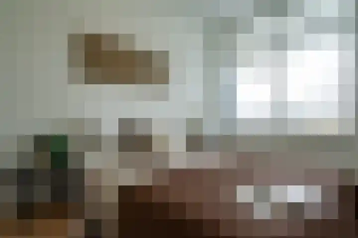Lupinesingel 146 Alphen aan den Rijn thumbnail 18