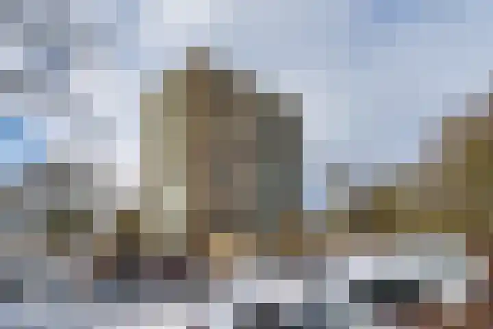 Lupinesingel 146 Alphen aan den Rijn thumbnail 31