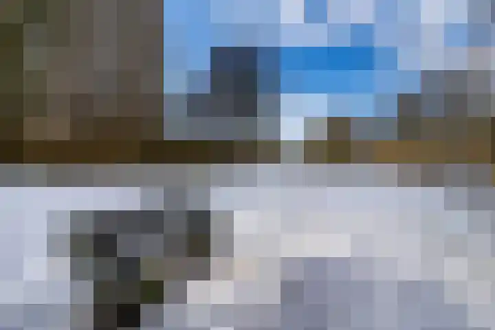 Lupinesingel 146 Alphen aan den Rijn thumbnail 32