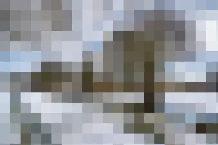 Lupinesingel 146 Alphen aan den Rijn thumbnail 33
