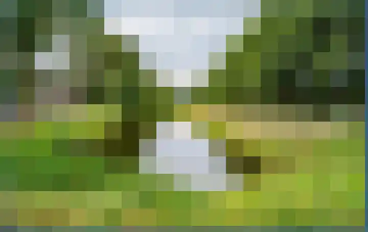 Lupinesingel 146 Alphen aan den Rijn thumbnail 34