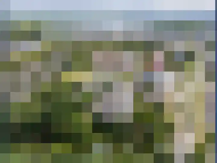 Lupinesingel 156 Alphen aan den Rijn thumbnail 32