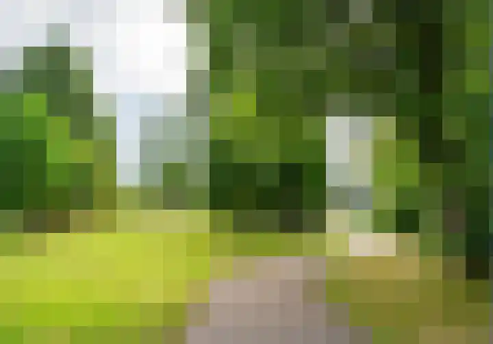 Lupinesingel 156 Alphen aan den Rijn thumbnail 35
