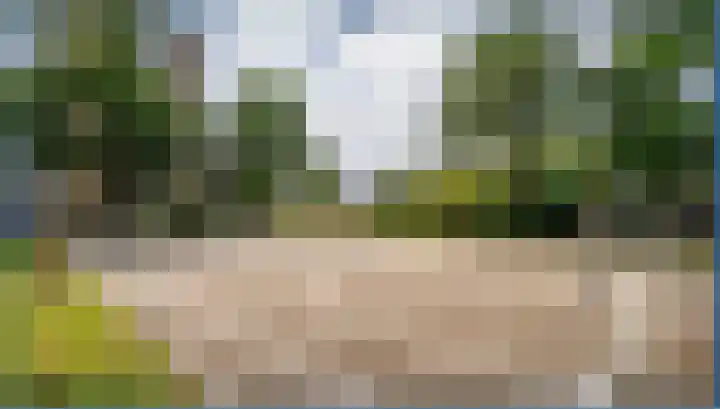 Lupinesingel 156 Alphen aan den Rijn thumbnail 37