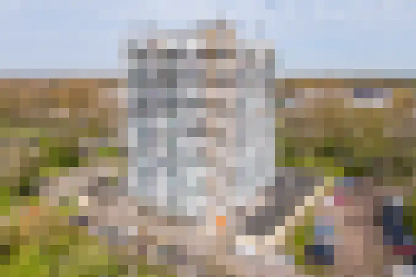 Lupinesingel 164 Alphen aan den Rijn