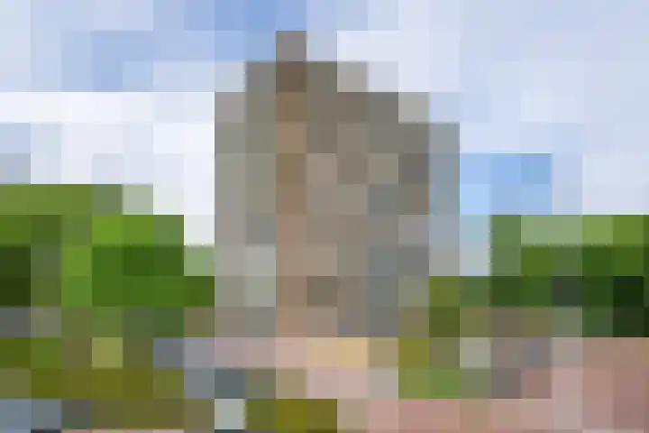 Lupinesingel 176 Alphen aan den Rijn thumbnail 32