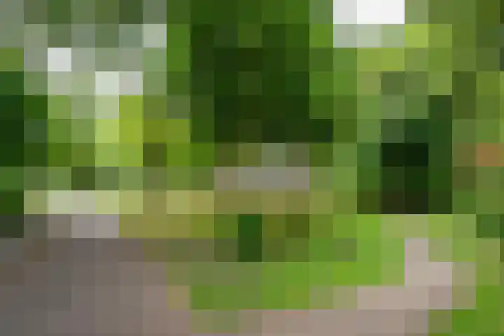 Lupinesingel 176 Alphen aan den Rijn thumbnail 33