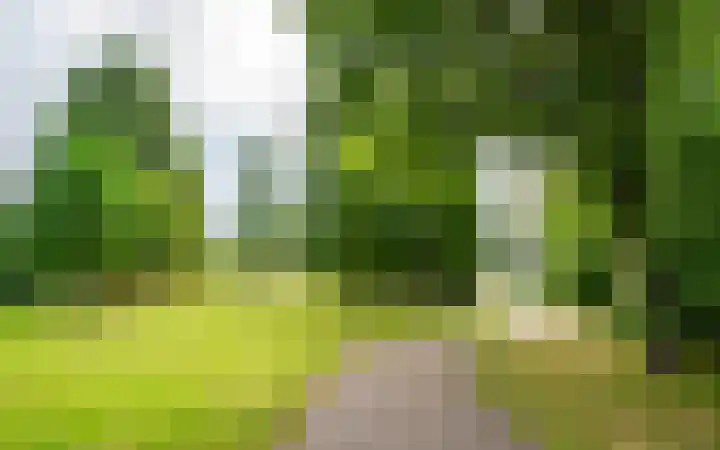 Lupinesingel 176 Alphen aan den Rijn thumbnail 34