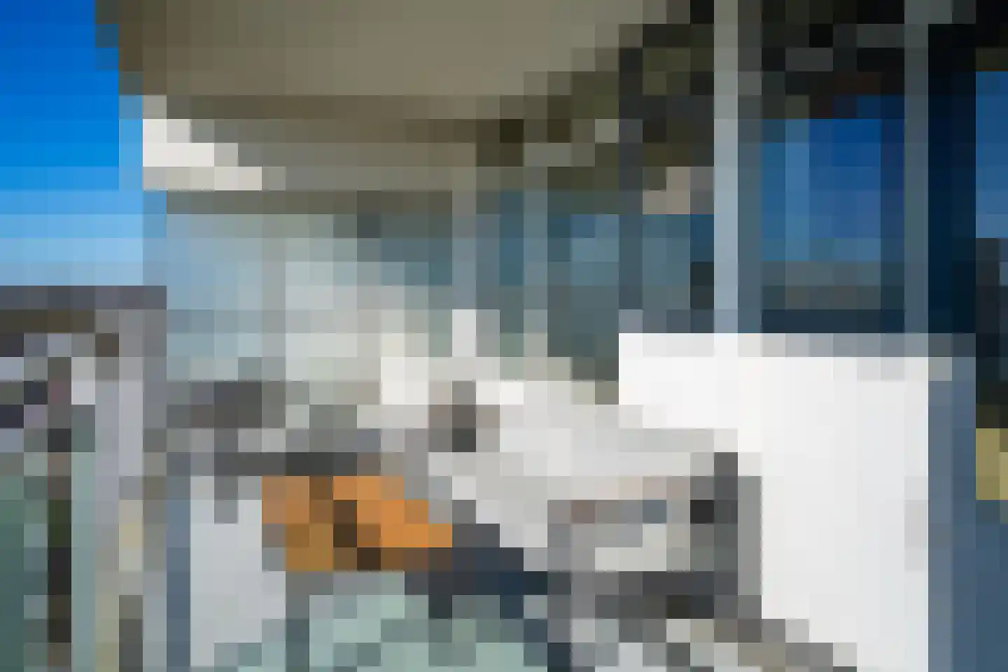 Lupinesingel 200 Alphen aan den Rijn thumbnail 21