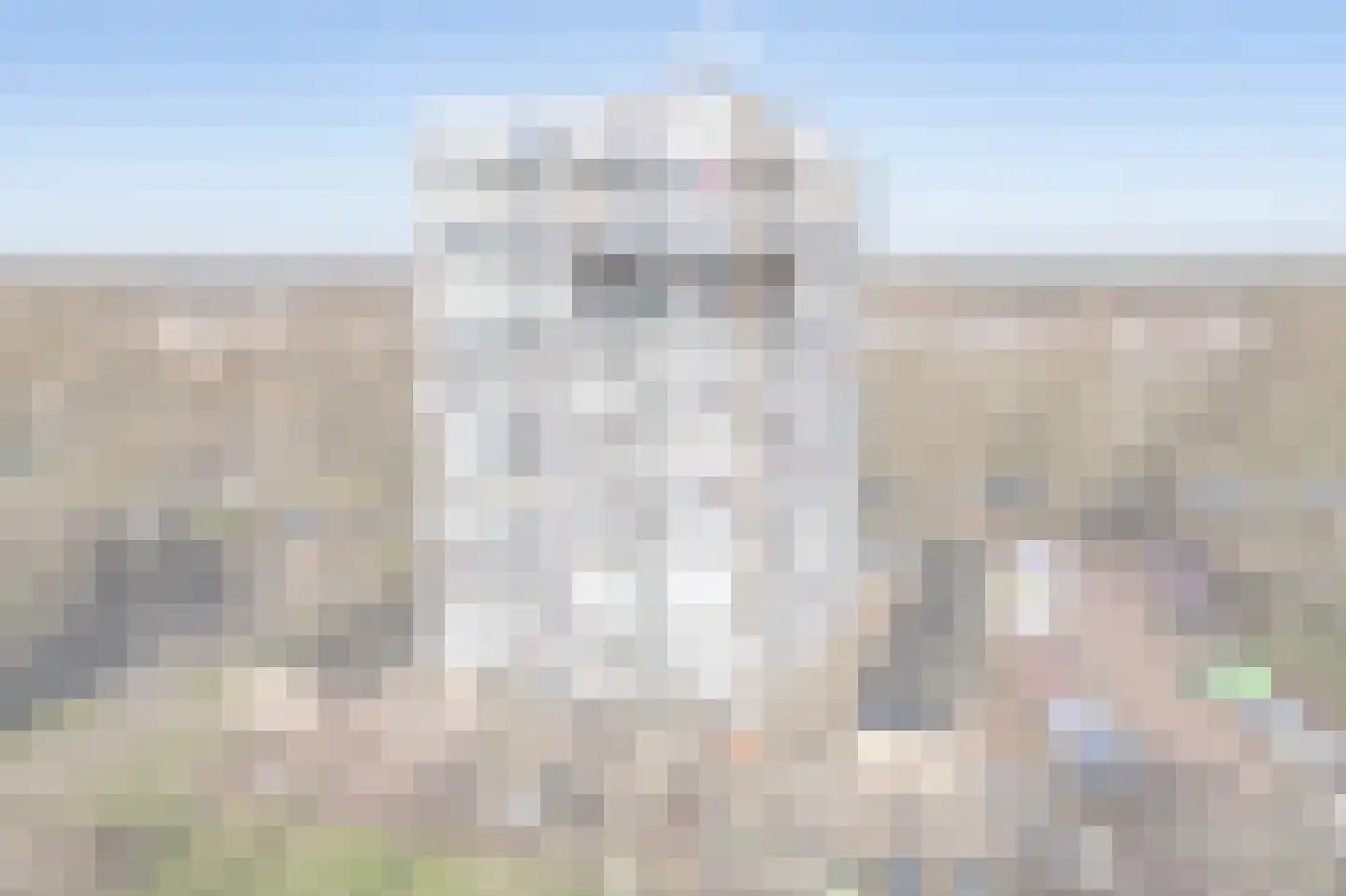 Lupinesingel 200 Alphen aan den Rijn thumbnail 31