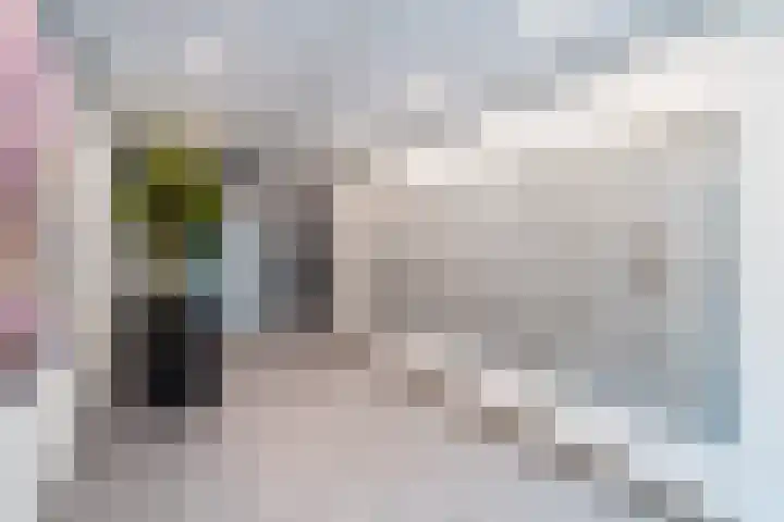 Lupinesingel 208 Alphen aan den Rijn thumbnail 25