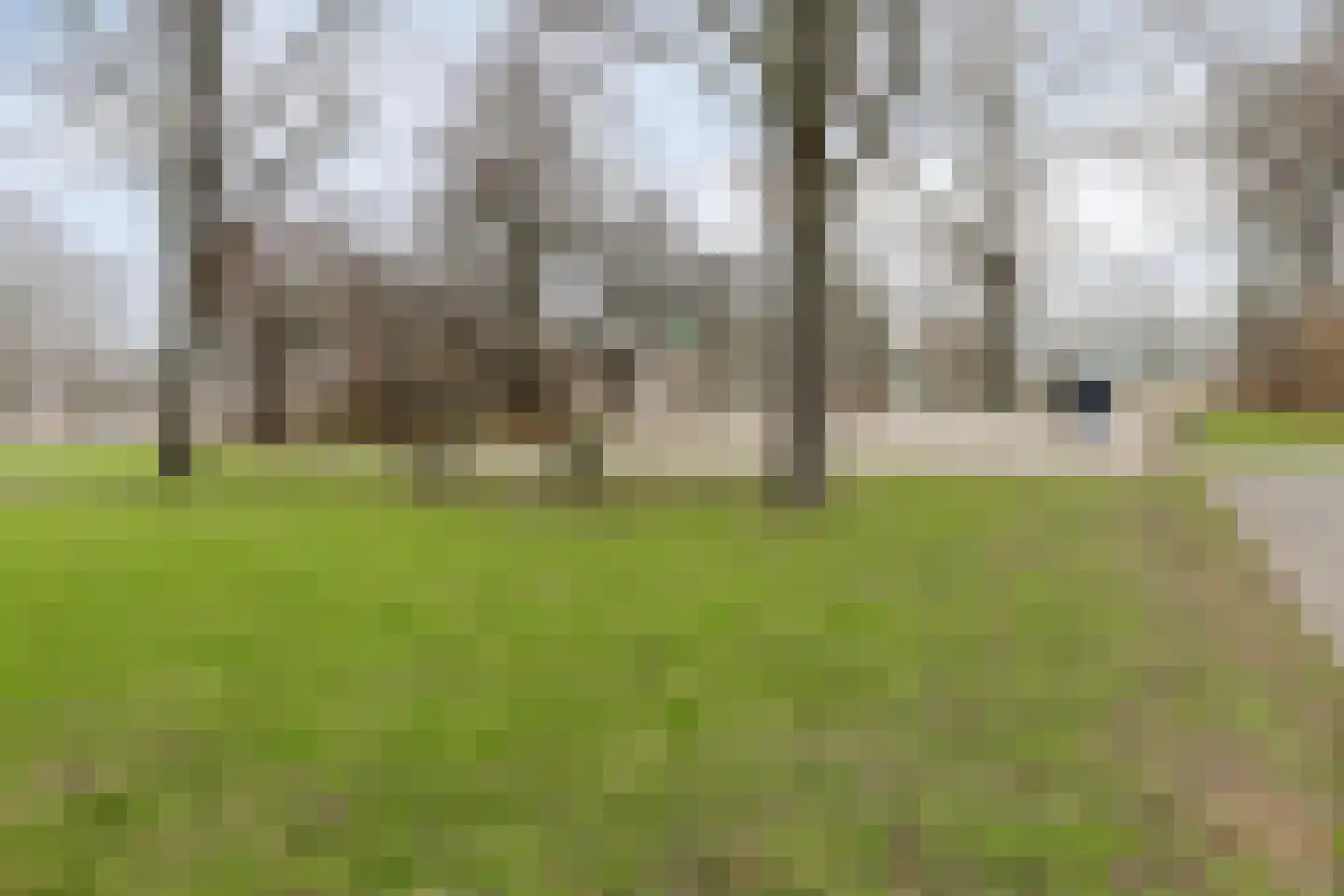 Lupinesingel 270 Alphen aan den Rijn thumbnail 37